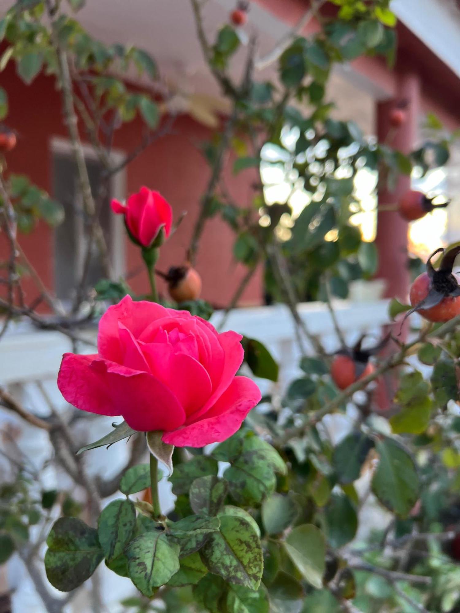 Finca El Escondite Olocau 외부 사진